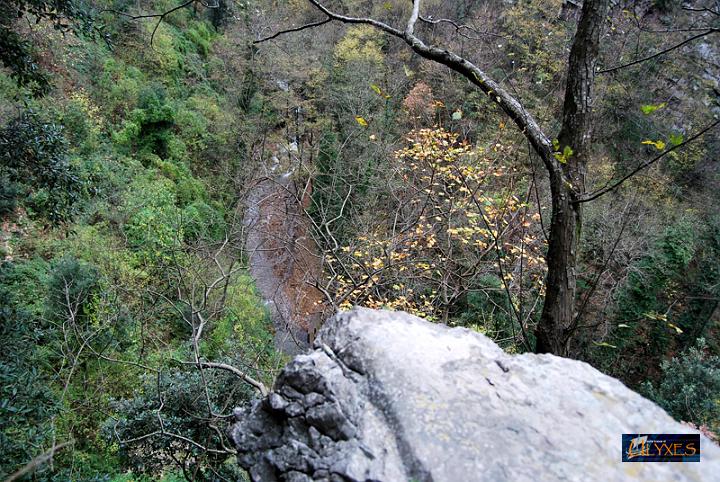 di raggiungere l'acqua.JPG